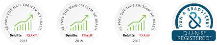 Selos - Deloitte